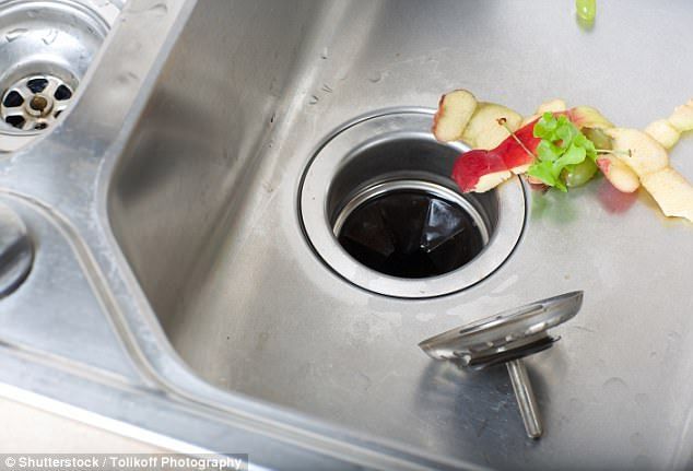 waste disposal Repair